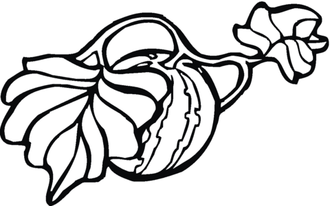 How Does Watermelon Grow Coloring Page